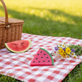 Watermelon Slice Freshie in a picnic setting